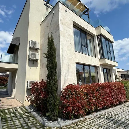Buena Vista